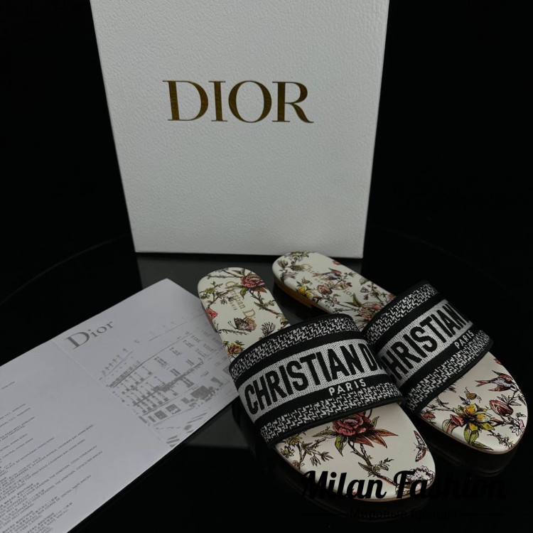 Шлёпанцы  Christian Dior V11273. Вид 1