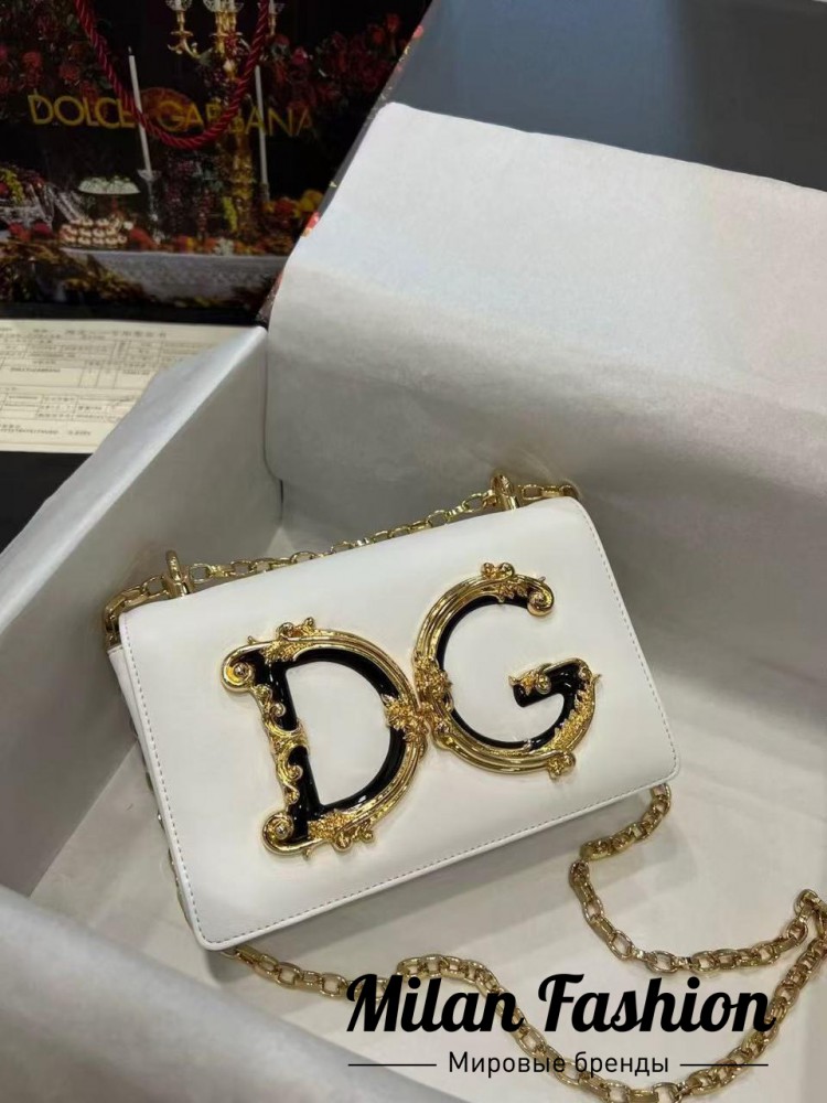 Сумка  Dolce & Gabbana V25423. Вид 1