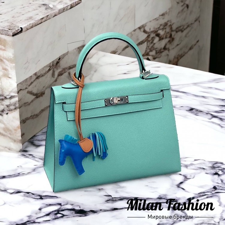 Сумка Kelly 25 Hermes V33655. Вид 1