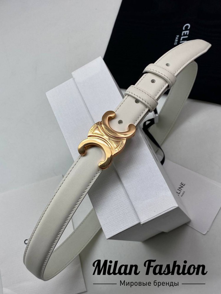 Ремень  Celine V33726. Вид 1