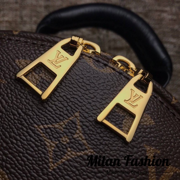 Рюкзак mеdium  Louis Vuitton v0435. Вид 5
