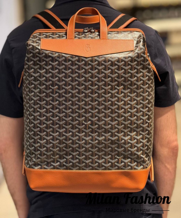 Рюкзак Goyard  … V33987. Вид 7