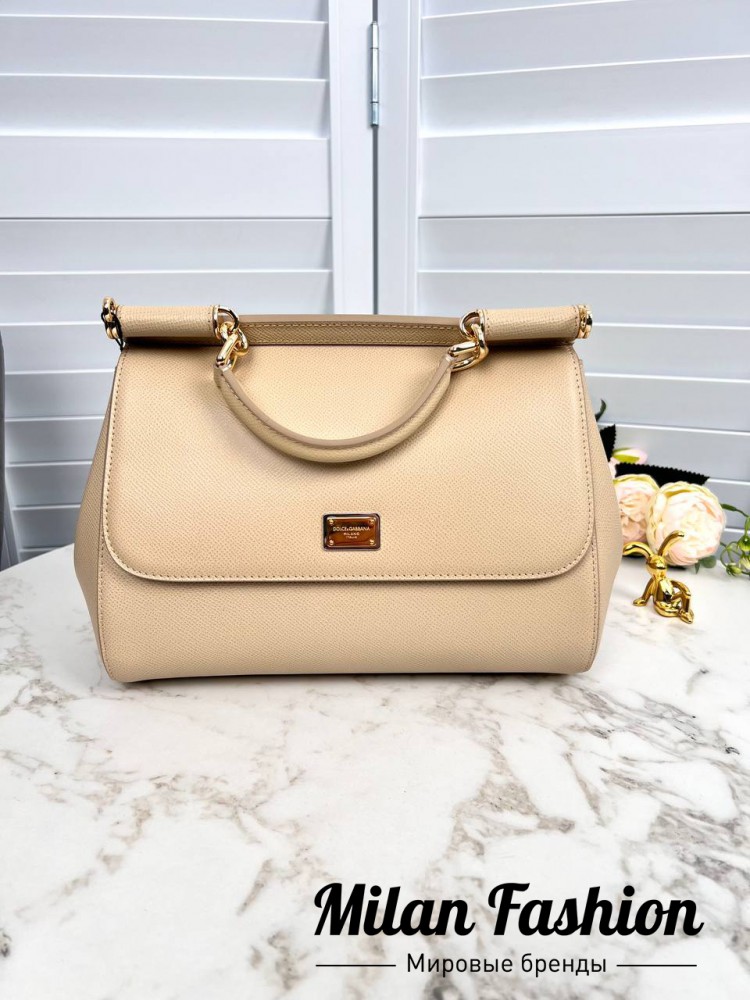 Сумка  Dolce & Gabbana bb1319. Вид 1