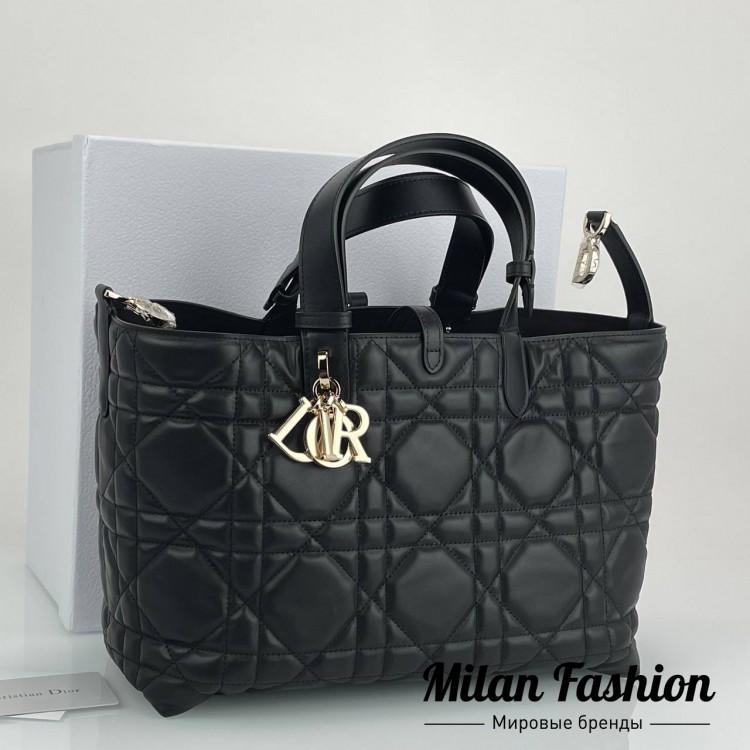 Сумка  Christian Dior V52170. Вид 1
