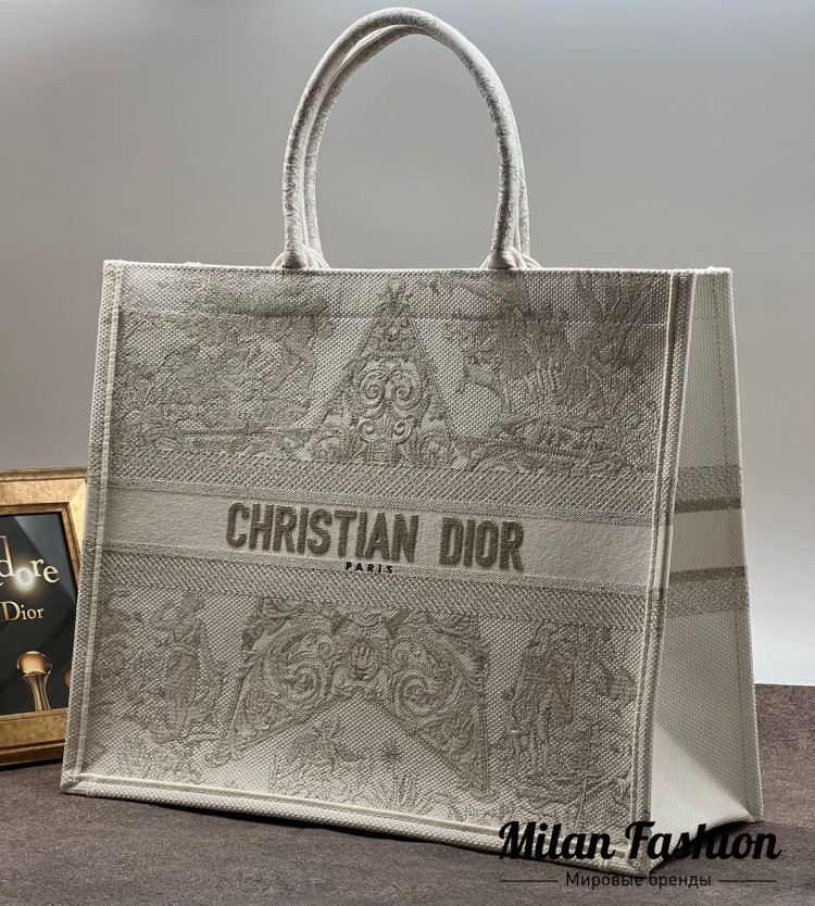 Сумка  Christian Dior V11194. Вид 1
