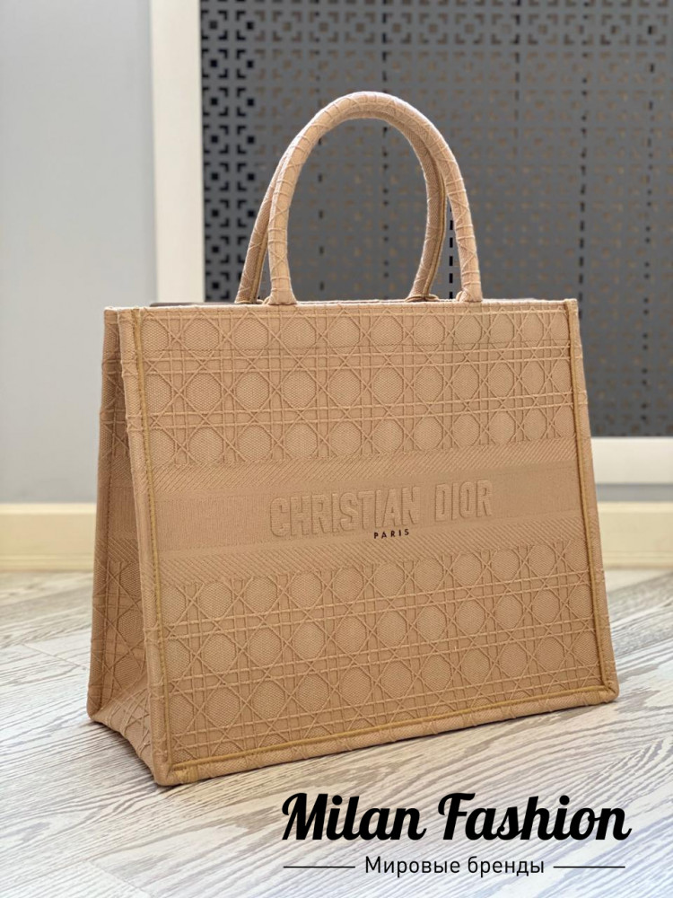 Сумка Book Tote Christian Dior v1692. Вид 1