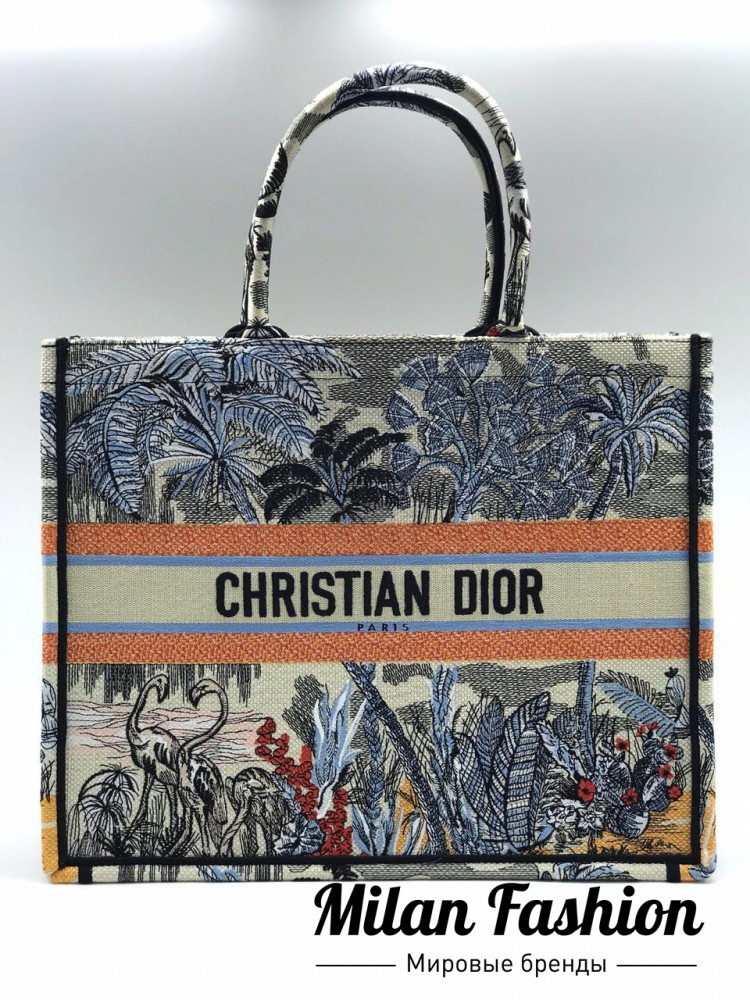 Сумка Book Tote Christian Dior v1688. Вид 1
