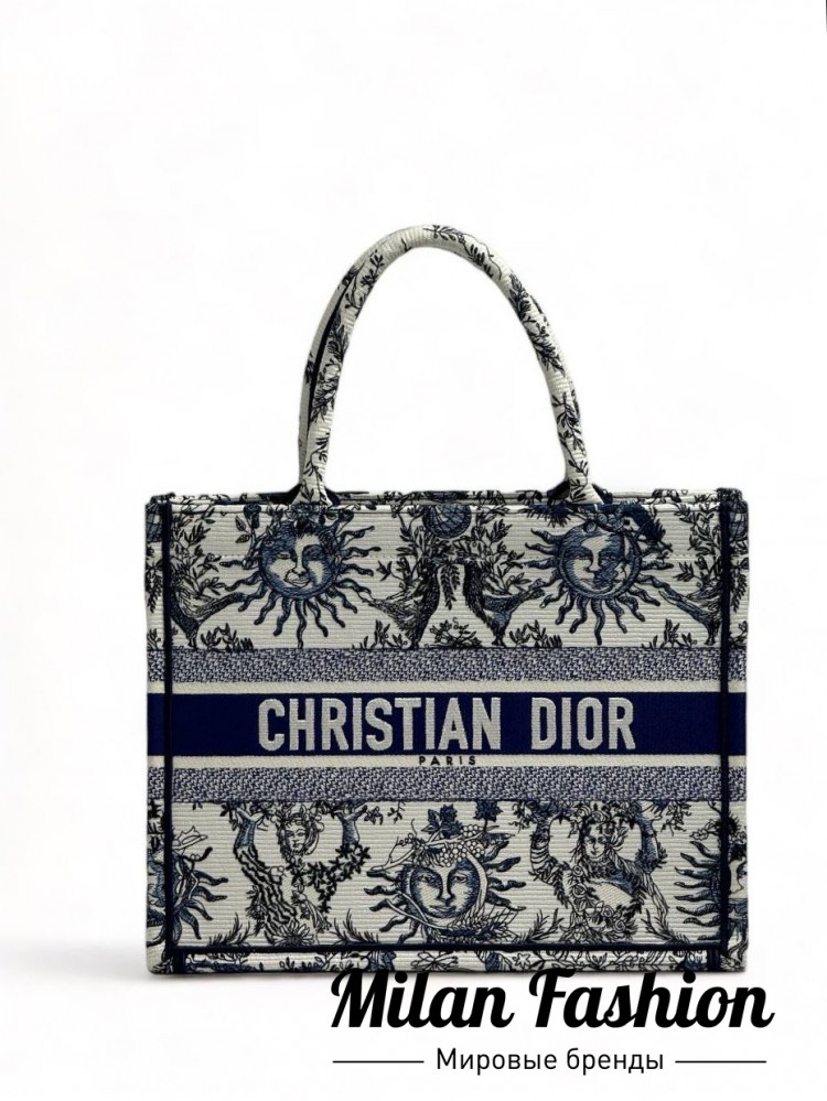Сумка  Christian Dior V44064. Вид 1