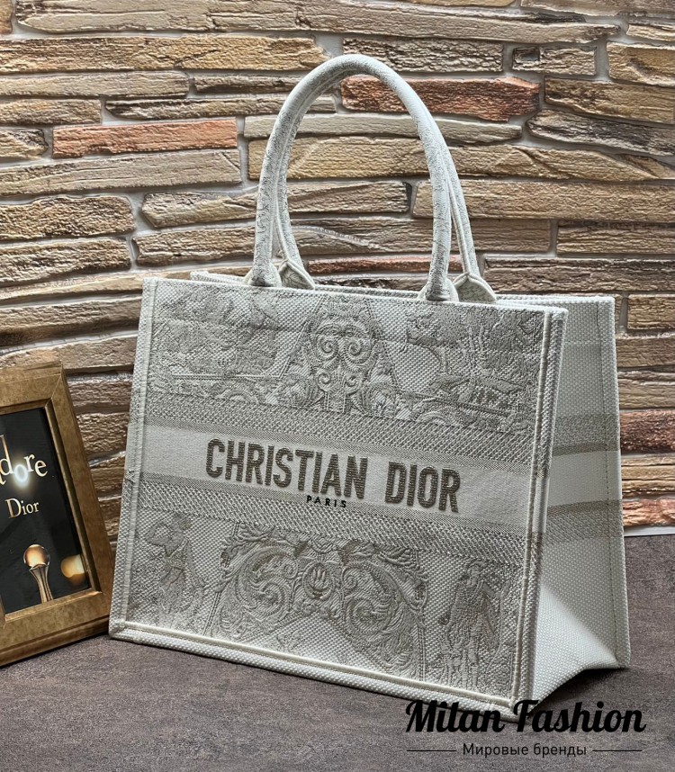 Сумка 36 Christian Dior V11195. Вид 1