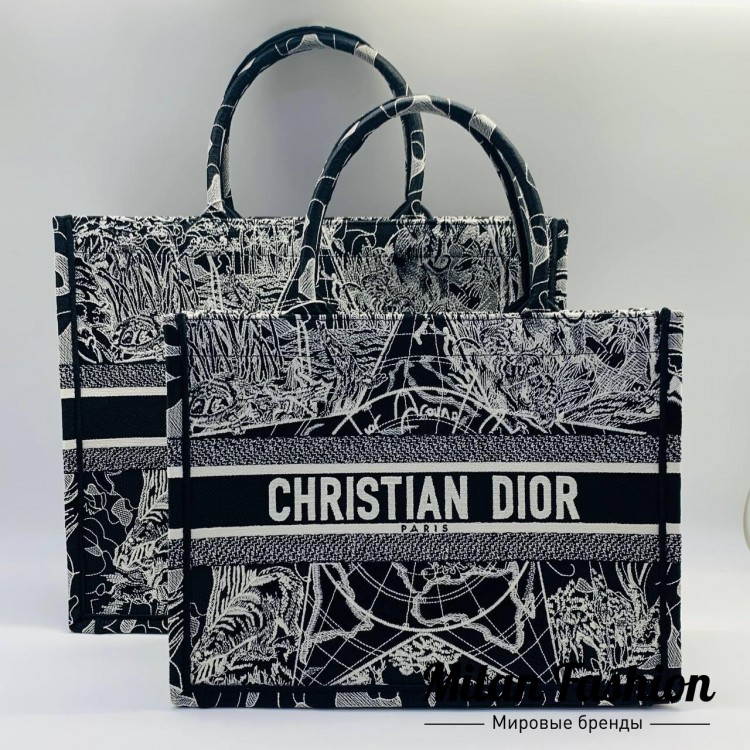 Сумка Book Tote mini Christian Dior V3167. Вид 2