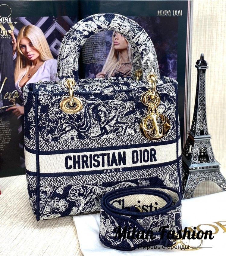 Сумка  Christian Dior V9538. Вид 1