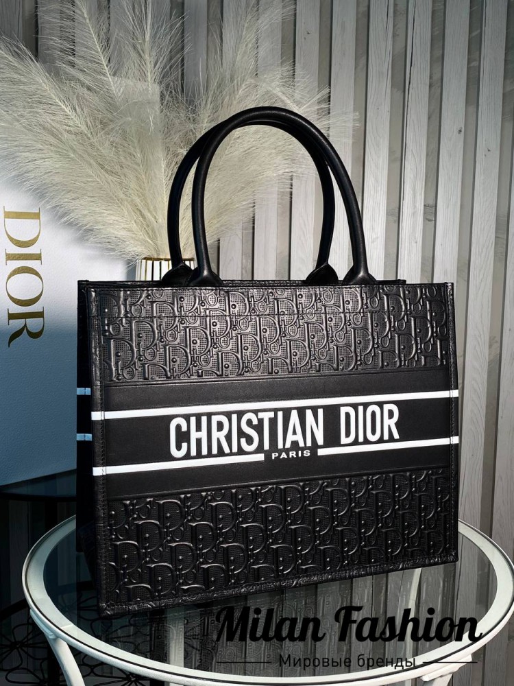 Сумка  Christian Dior V43637. Вид 1