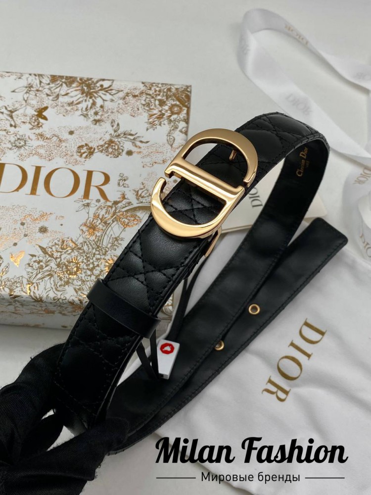 Ремень  Christian Dior V6975. Вид 1