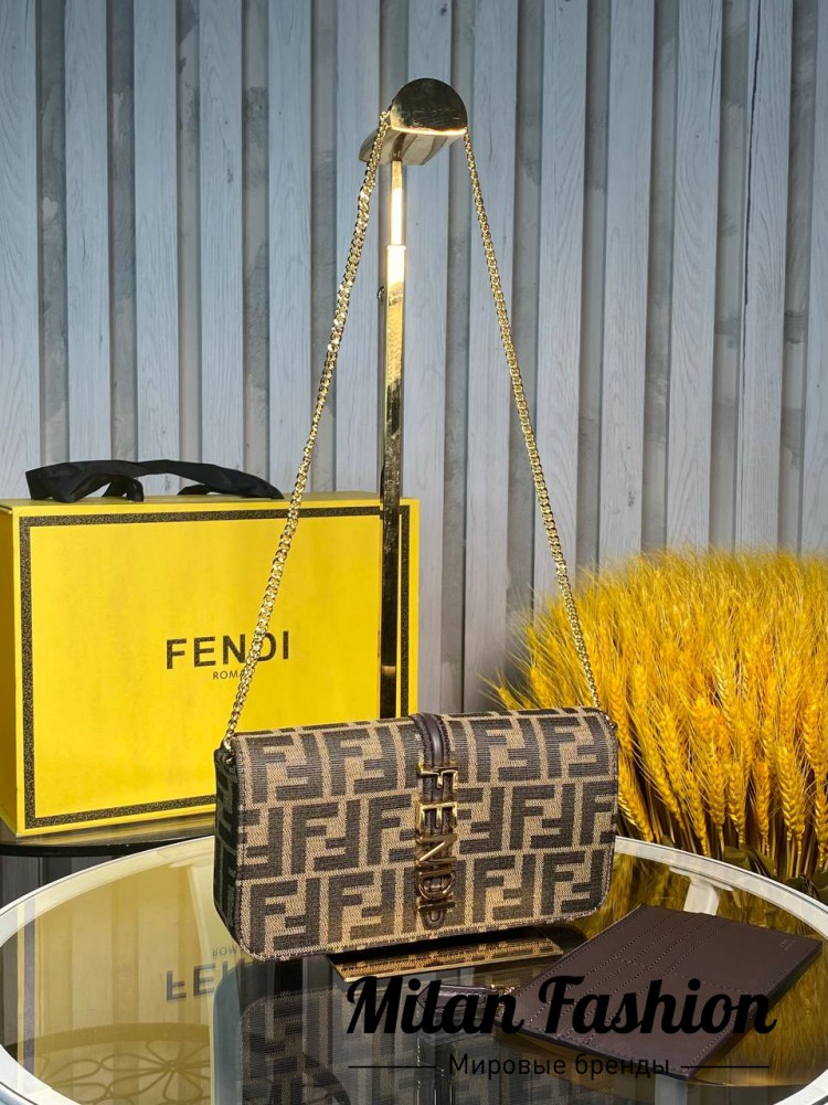 Сумка  Fendi V34555. Вид 1