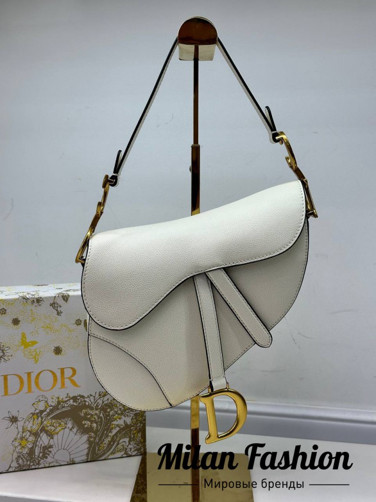 Сумка  Christian Dior V31520. Вид 1
