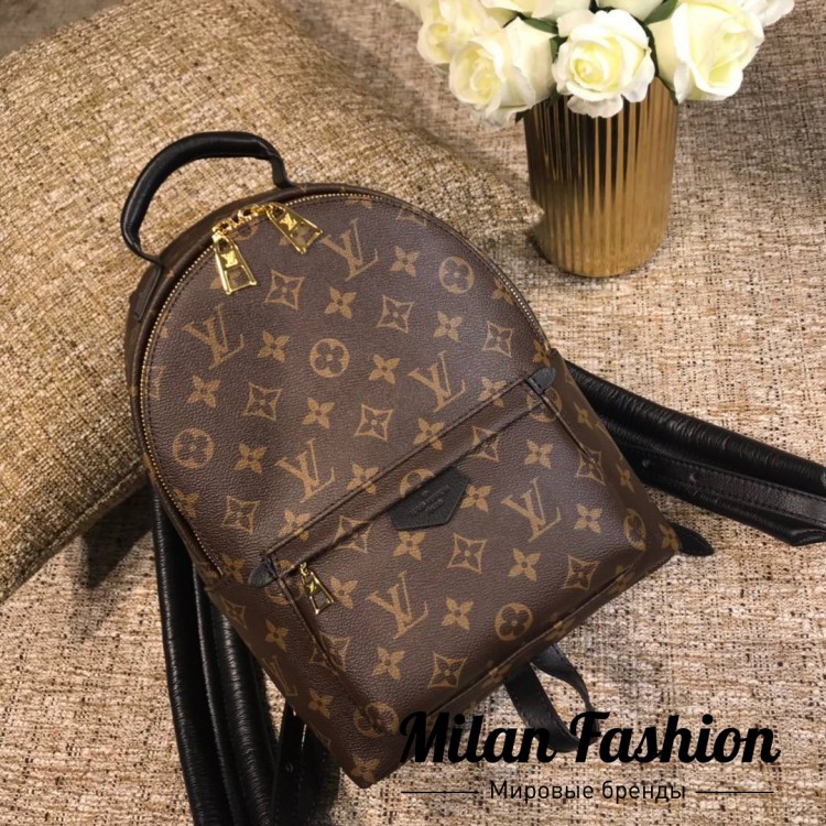 Рюкзак Louis Vuitton an-0097. Вид 1