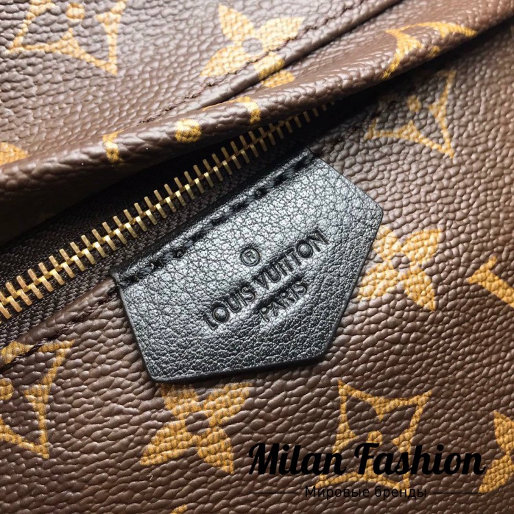 Рюкзак Louis Vuitton an-0097. Вид 6