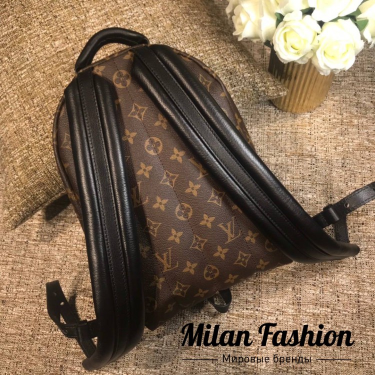 Рюкзак  Louis Vuitton v0418. Вид 6