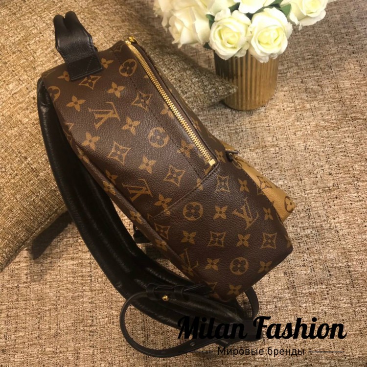 Рюкзак  Louis Vuitton v0418. Вид 7