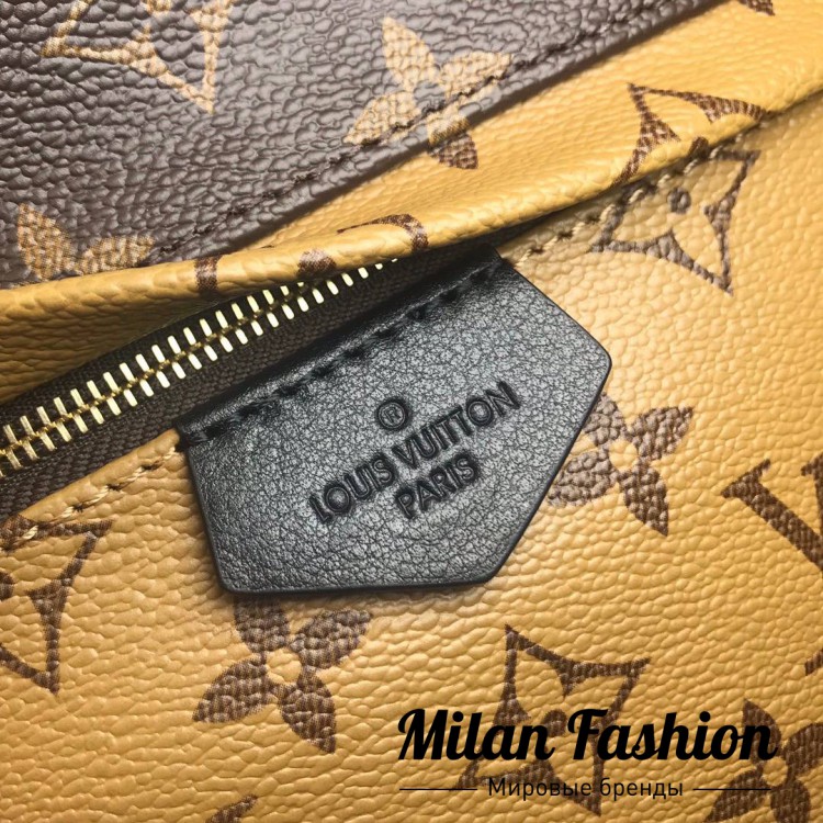 Рюкзак  Louis Vuitton v0418. Вид 2