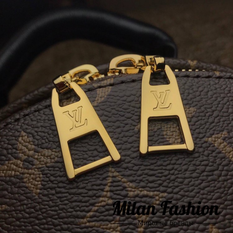 Рюкзак  Louis Vuitton v0418. Вид 8