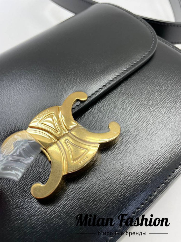 Сумка Triomphe Celine V31707. Вид 6