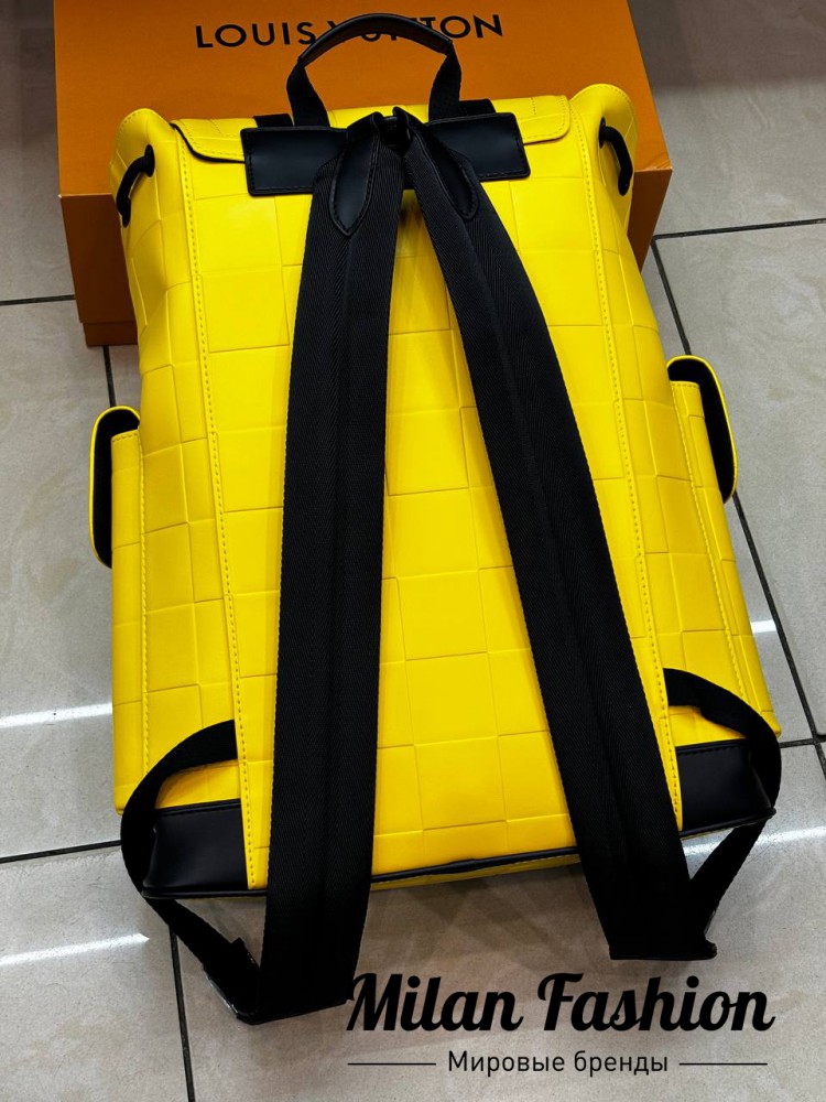 Рюкзак  Louis Vuitton V33720. Вид 2