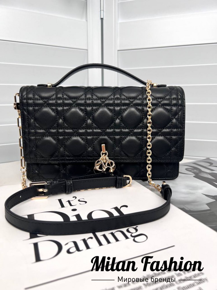 Сумка  Christian Dior V33170. Вид 2