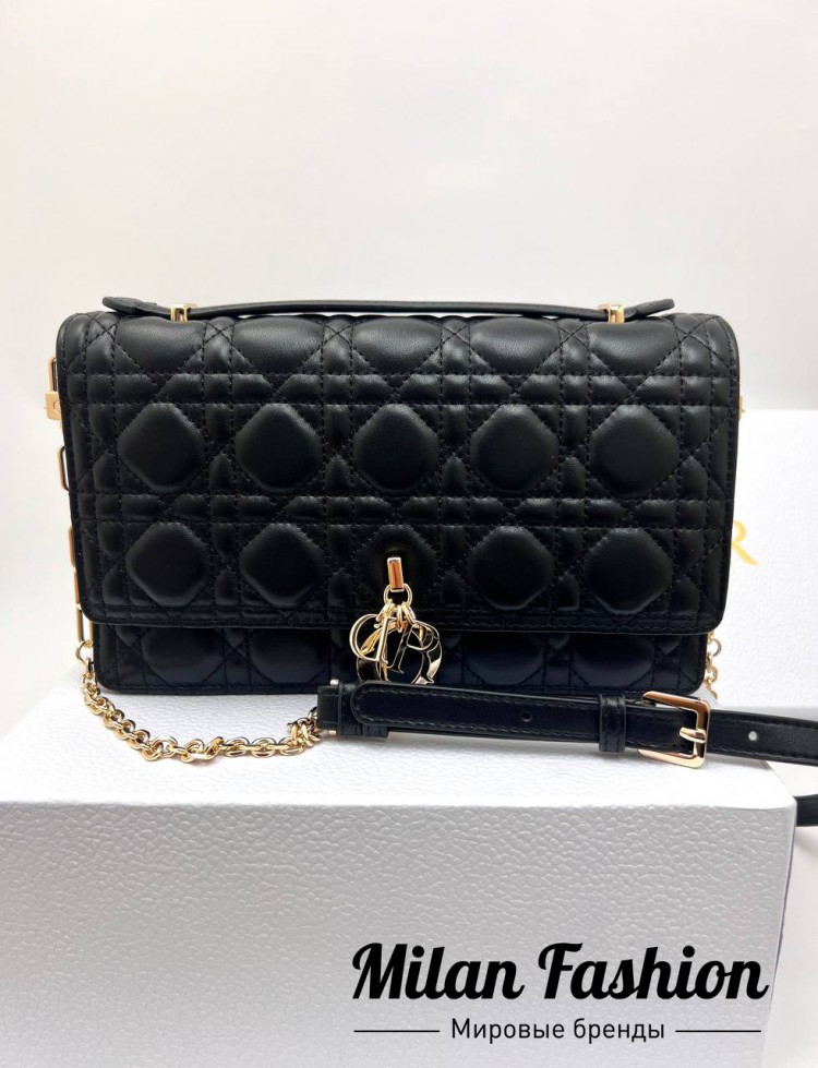Сумка  Christian Dior V33170. Вид 1