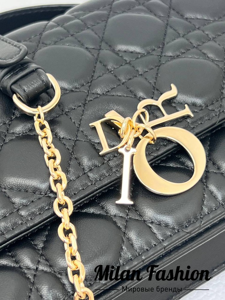 Сумка  Christian Dior V33170. Вид 5