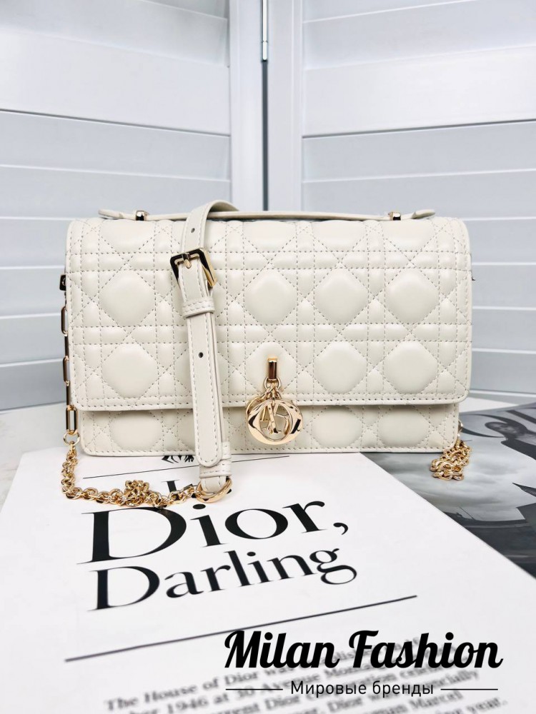Сумка Christian Dior V33697. Вид 2