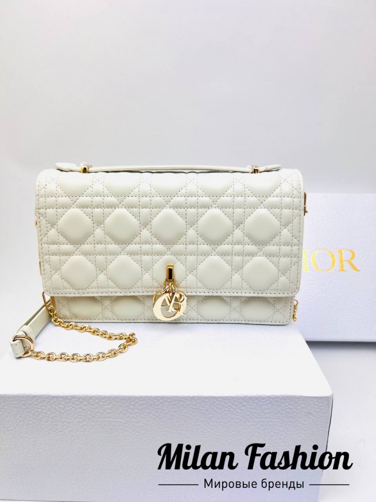 Сумка Christian Dior V33697. Вид 1