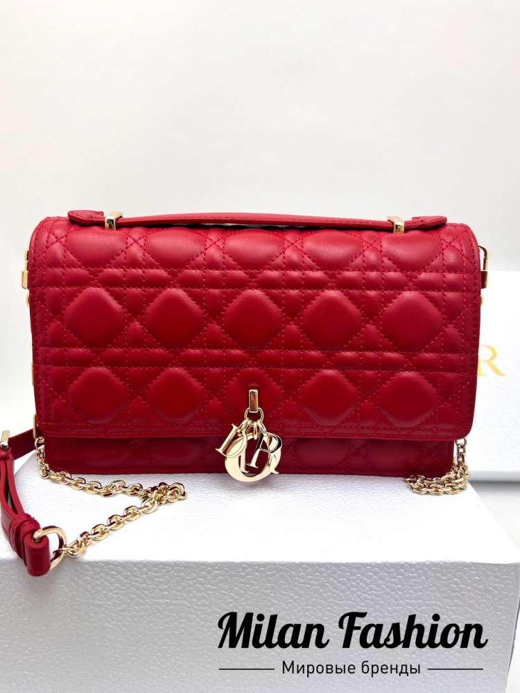 Сумка  Christian Dior V33695. Вид 1