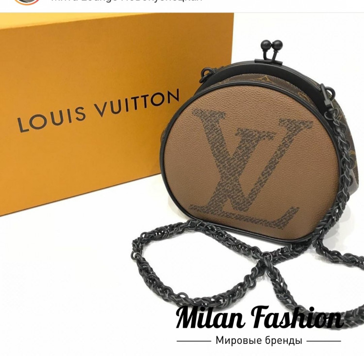 Сумка Louis Vuitton v1640. Вид 3