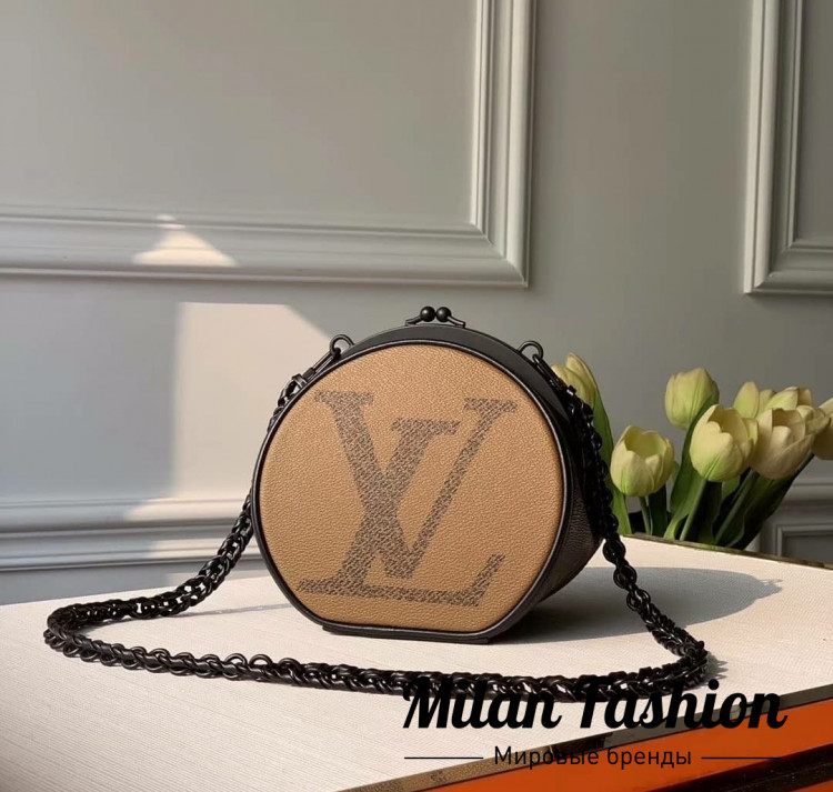 Сумка Louis Vuitton v1640. Вид 1