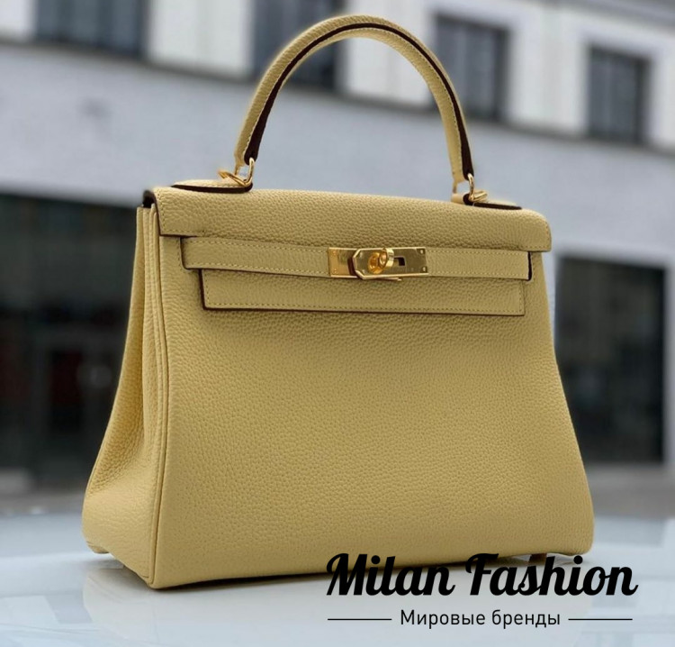 Сумка Kelly Hermes v2231. Вид 1