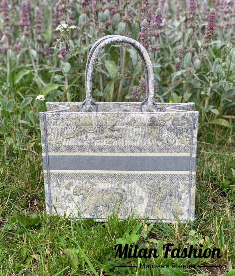 Сумка Book Tote mini Christian Dior V3166. Вид 2