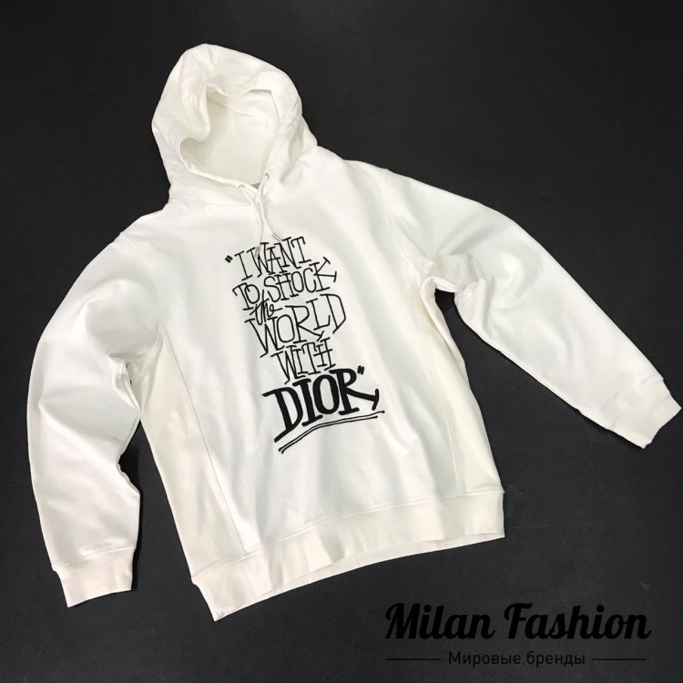 Худи  Christian Dior V3695. Вид 1