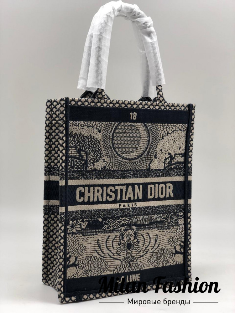 Сумка женская Christian Dior v0250. Вид 1
