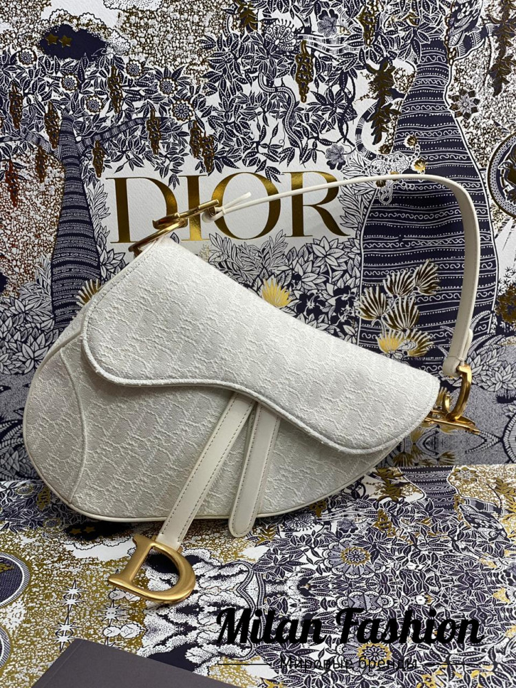 Сумка Saddle Christian Dior v1668. Вид 1