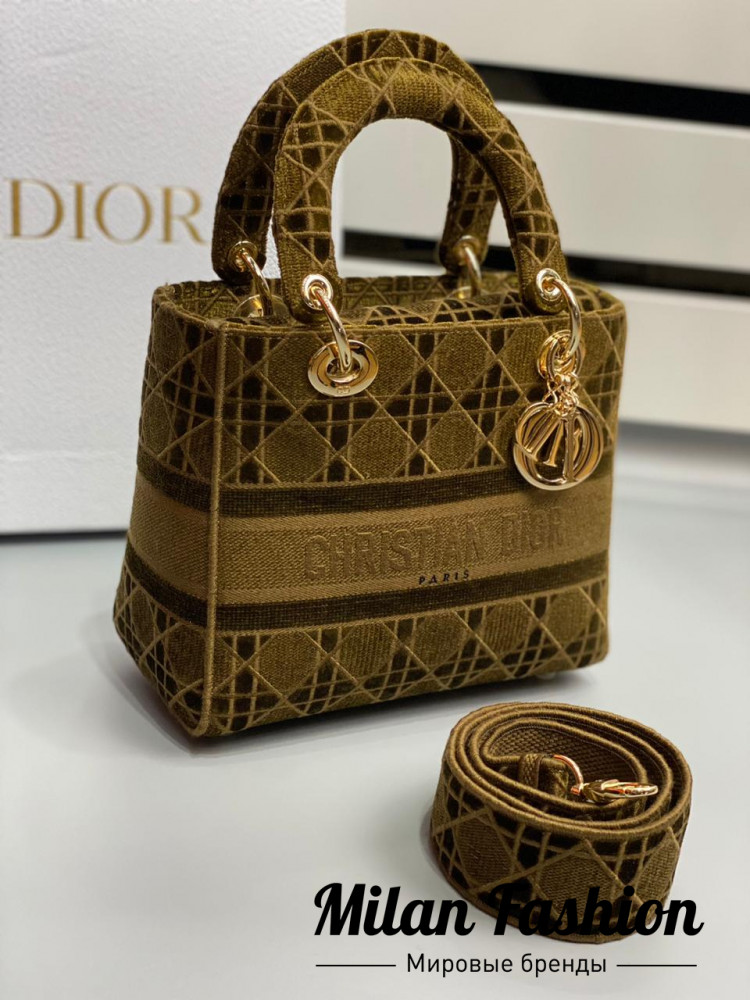 Сумка Christian Dior V5993. Вид 1