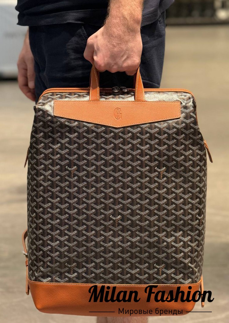 Рюкзак Goyard  … V33987. Вид 4