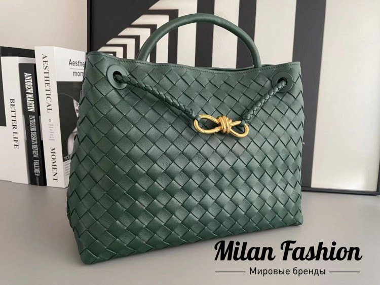 Сумка  Bottega Veneta V33632. Вид 1