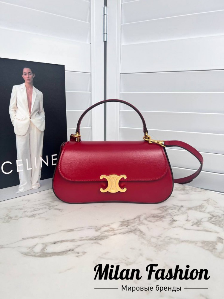 Сумка  Celine V53090. Вид 2
