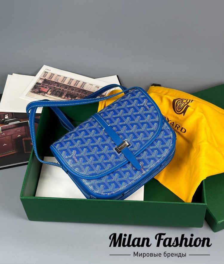Сумка Goyard  … V52075. Вид 1