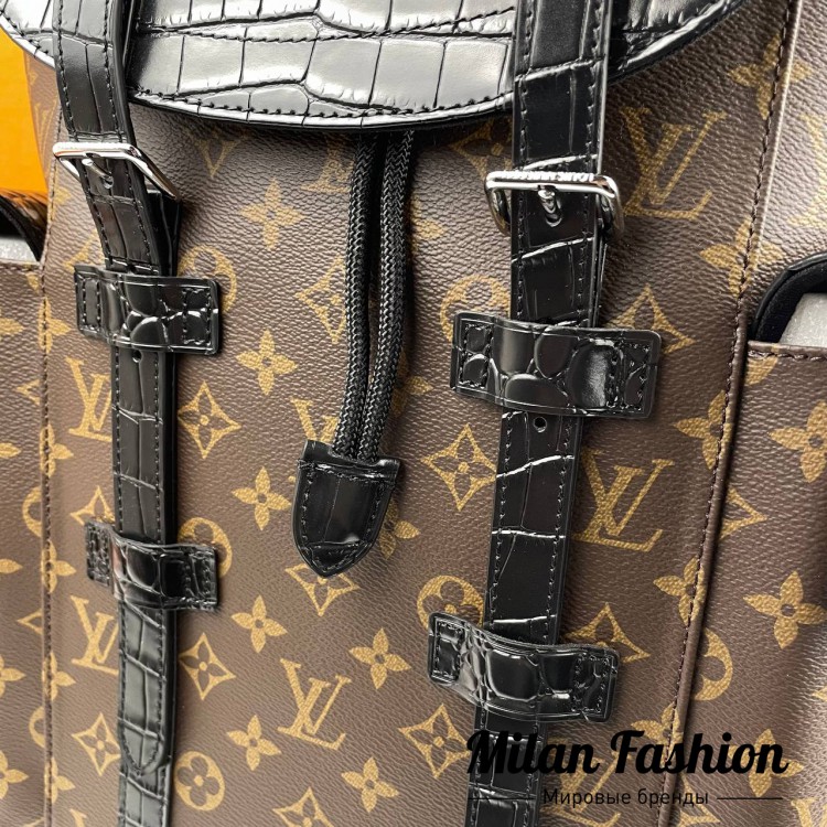 Рюкзак  Louis Vuitton V6567. Вид 10