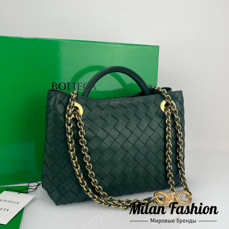 Сумка Andiamo Bottega Veneta V33861. Вид 1