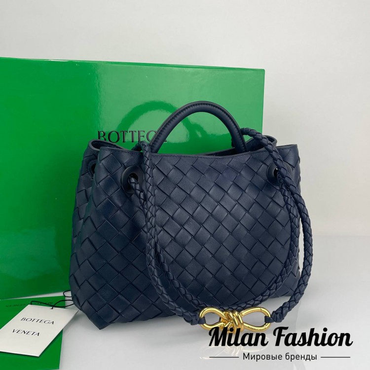 Сумка Andiamo Bottega Veneta V33864. Вид 1