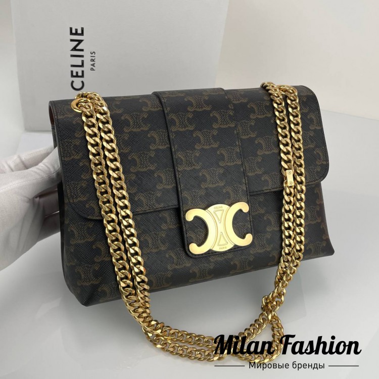 Сумка Victoire Celine V33573. Вид 1