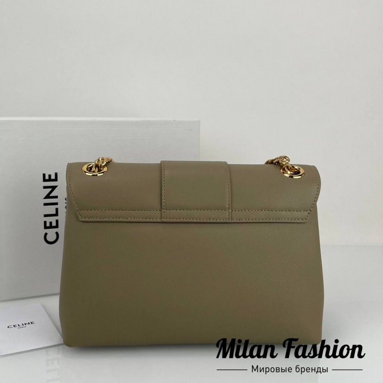 Сумка Victoire Celine V33570. Вид 2